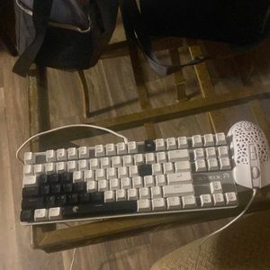 A gaming keyboard and mouse